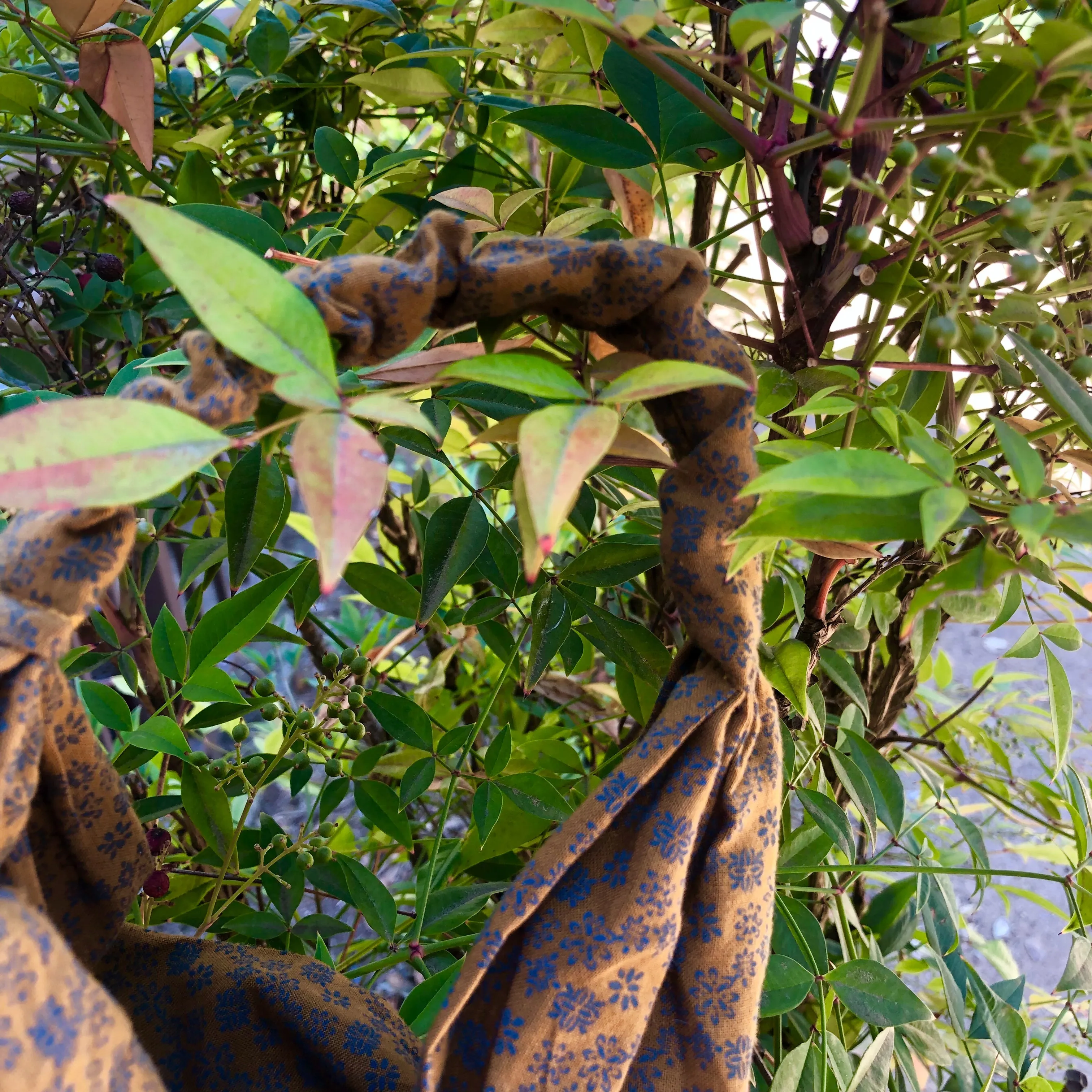 Wide Wrap Turban Headband -  khaki & Blue Flower